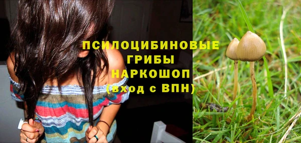МДПВ Алзамай